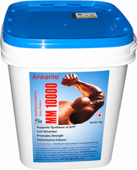 ANKERITE MM 10000